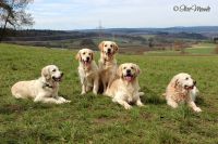 39. Moy mit Geschwister Emma,Paula,Duff,u. Oma KilbrideKilbride